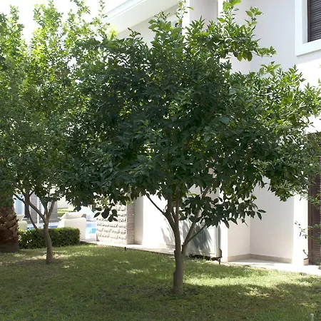 Villa Bamont Villas Kemer
